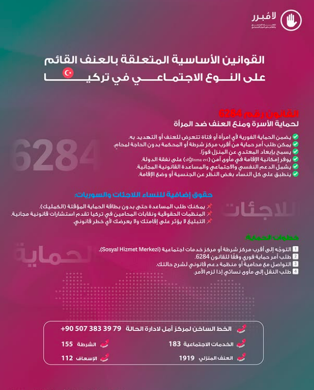 العنف الرقمي والقانون